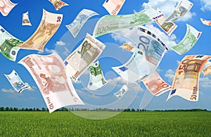 Falling euros (field background) photo