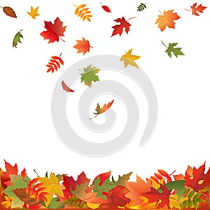 Falling Fall Leaves. Vector