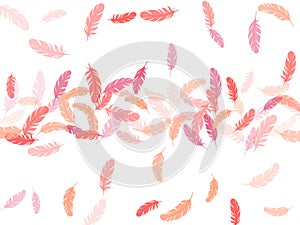 Falling feather elements soft vector design.