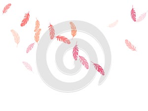 Falling feather elements soft vector design.