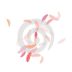 Falling feather elements soft vector design.