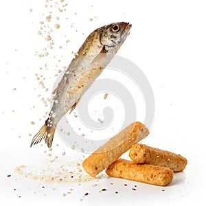 Falling fish or cheese stick isolated