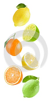 Falling fresh citrius isolated on white background photo