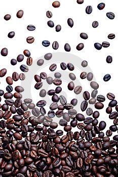 Falling fresh roasted coffee beans