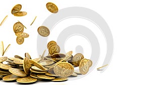 Falling Gold Coins Isolated