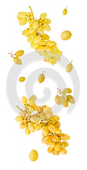 Falling grape fruits isolated on white background with clipping path
