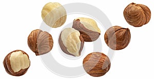 Falling hazelnuts isolated on white background