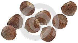 Falling hazelnuts isolated on white background