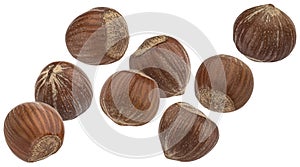 Falling hazelnuts isolated on white background