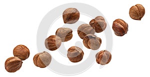 Falling hazelnuts isolated on white background with clipping path