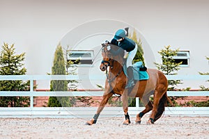 Falling from a horse to a speed and hardiness competition. Riders elimination on show jumping. Jumping fail photo