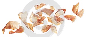 Falling jamon slices, iberian ham isolated on white background