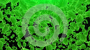 Falling green leaves, 3D rendering. Computer generated beautiful abstract background
