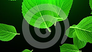 Falling green leaves, 3D rendering. Computer generated beautiful abstract background