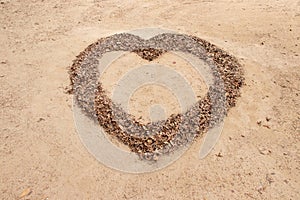 Falling leaf in heart shape on soil