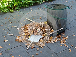 Falling leaves in autom have to be cleaned away