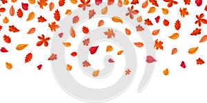 Falling leaves. Autumn background with red and orange flying maple foliage. Yellow oak or chestnut branches. Cartoon