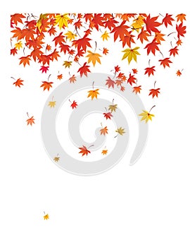 Falling leaves background.