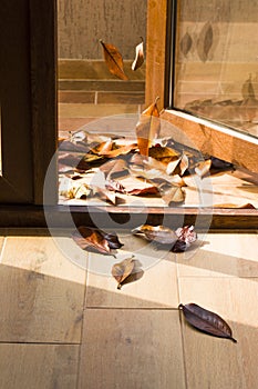 Falling leaves fly into the house through the open terrace door.