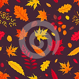 Falling leaves isolated