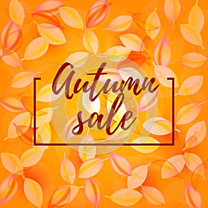 Falling leaves on orange background. Autumn sale lettering . Web banner or poster for e-commerce, on-line cosmetics shop