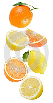 Falling lemon and orange isolated on white photo