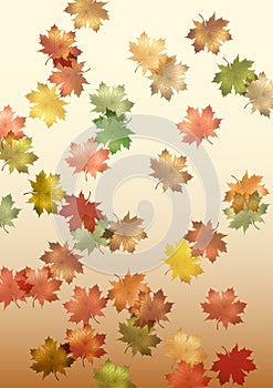Falling maple leaves made in illustrator cs4 photo