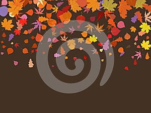 Falling multicolor autumn leaves. EPS 8