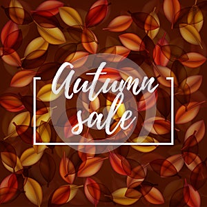 Falling orange leaves on dark background. Autumn sale . Web banner or poster for e-commerce, on-line cosmetics shop