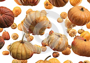 Falling Pumpkin isolated on white background, selective focus