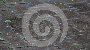 Falling rain drops in a puddle during rainfall on a rainy day in fall and autumn shows wet weather on the street as endless motion