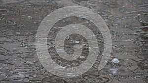 Falling rain drops in a puddle during rainfall on a rainy day in fall and autumn shows wet weather on the street as endless motion