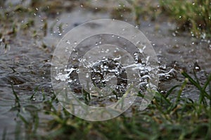 Falling rain in a puddle