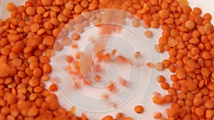 Falling red lentils, Dry orange lentil grains pattern