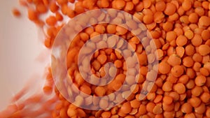 Falling red lentils, Dry orange lentil grains pattern