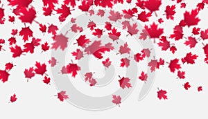 Falling red maple leaves background. Canada Day, July 1st celebration concept. Flying autumn foliage.