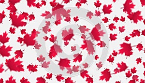 Falling red maple leaves background. Canada Day, July 1st celebration concept. Flying autumn foliage.