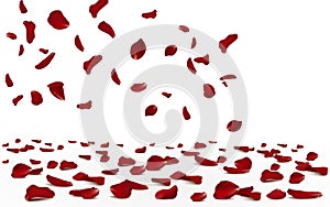 Falling red rose petals seasonal confetti, blossom elements flying isolated. Abstract floral background with beauty roses petal.