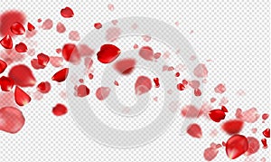 Falling Red rose petals on a transparent background.Vector illustration