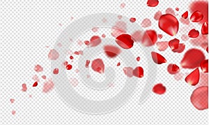 Falling Red rose petals on a transparent background.Vector illustration