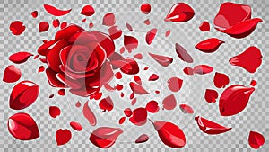 Falling red valentines rose petals on transparent isolated png background photo