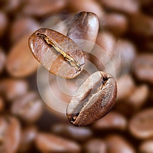 Falling roasted coffee beans