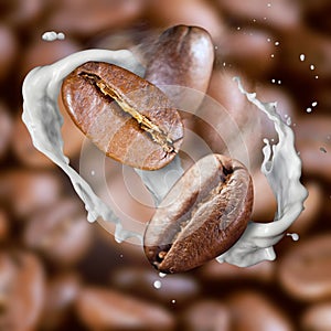 Falling roasted coffee beans with steam and milk