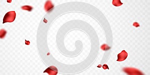 falling rose petals background vector design 3D illustration