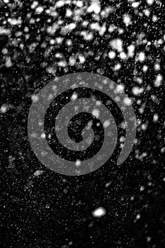 Falling snow on a black background. Snowfall weather. Texture for overlay