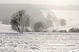 Falling snow in the winter landscape