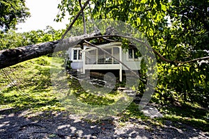 Falling tree after hard storm on damage house