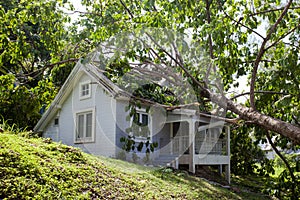 Falling tree after hard storm on damage house photo