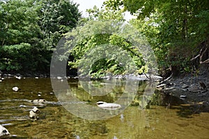 Falling trees reflectoin in River close to marie curtis park