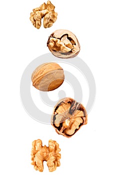 Falling walnuts on white